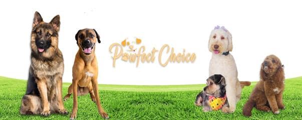 Pawfect Choice