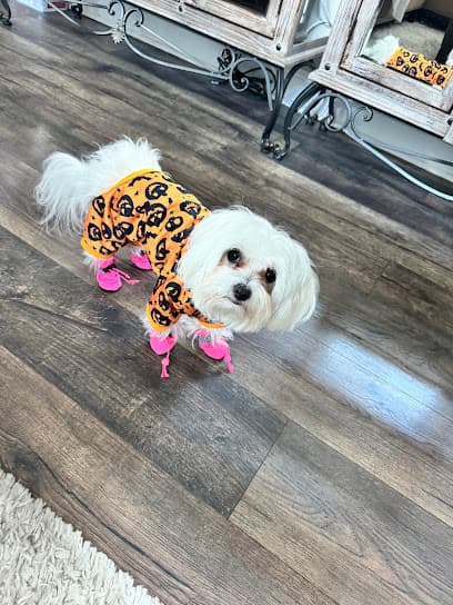 Best In Show Pet Grooming