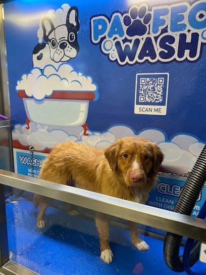 Pawfect Wash Lake City