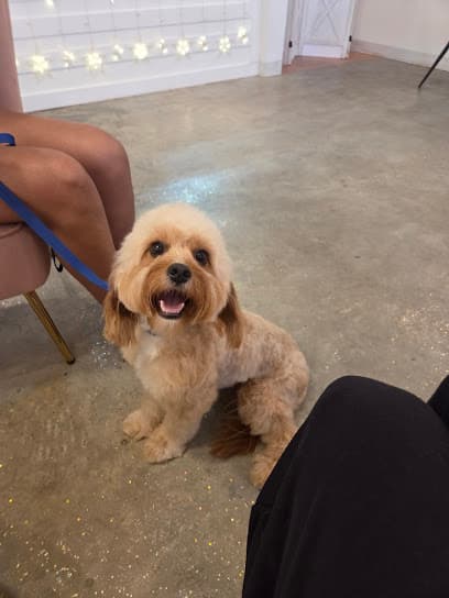 Boujee Barks Pet Spa LLC