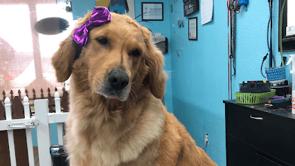 All Fur Love Grooming