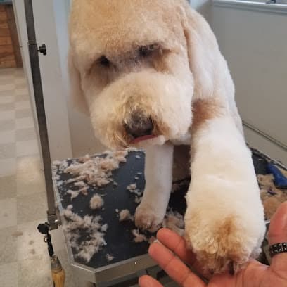Nazty Dog Groom & Board