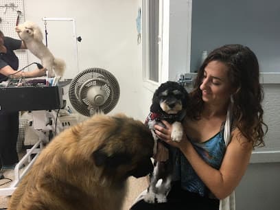 Pawsitively Groomed Pet Salon